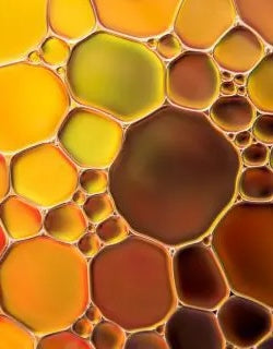 Potency, Standardised