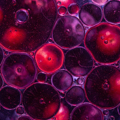 Antioxidant Compounds