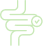 Digestive Rhythm