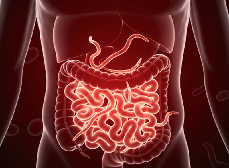 The Real Problem  May Be
Hiding Deep In Your Gut