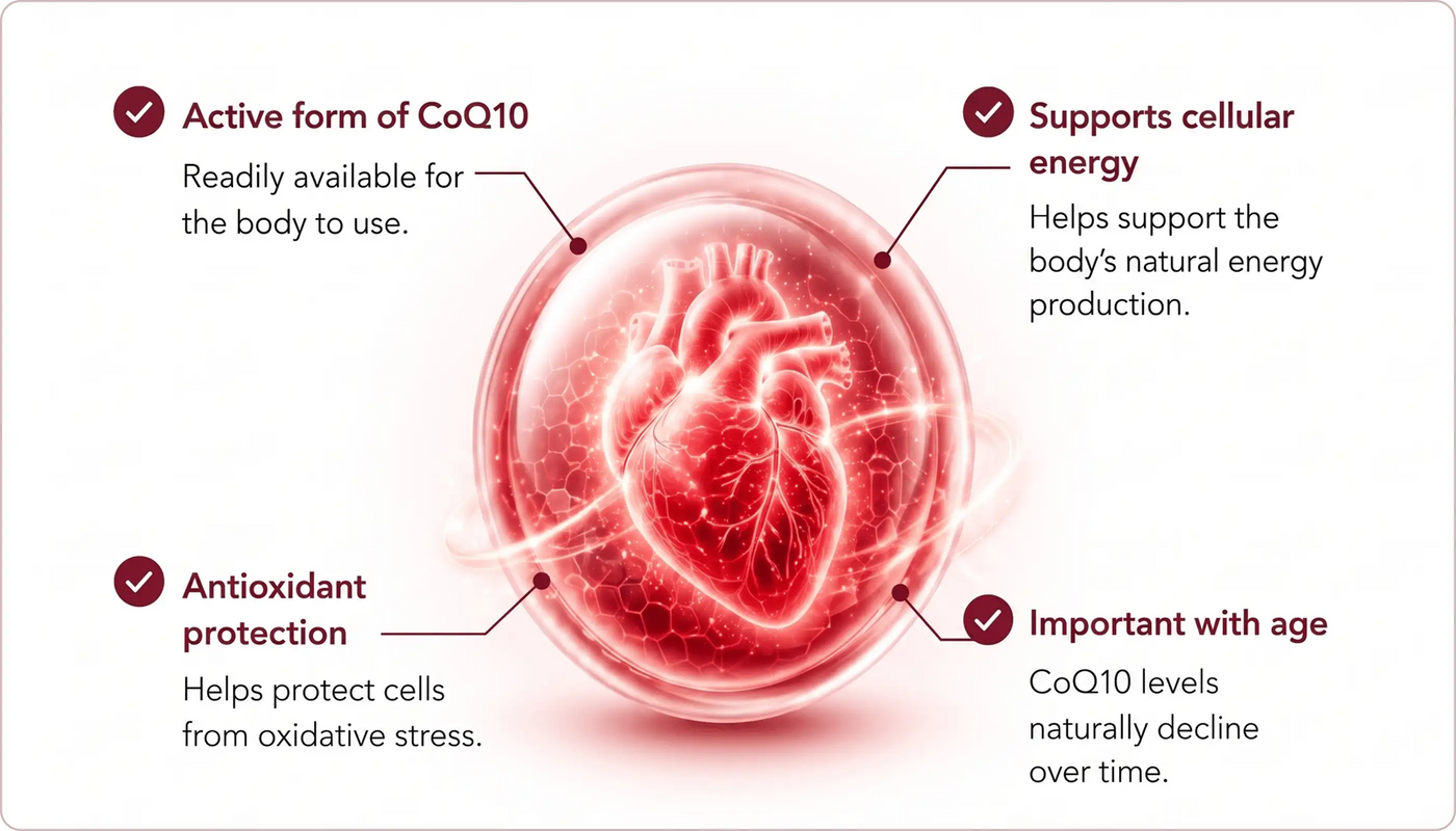 Pourquoi l'Ubiquinol ?