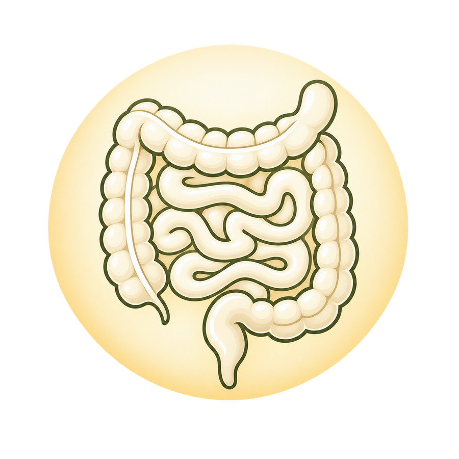 Gut bacteria imbalance