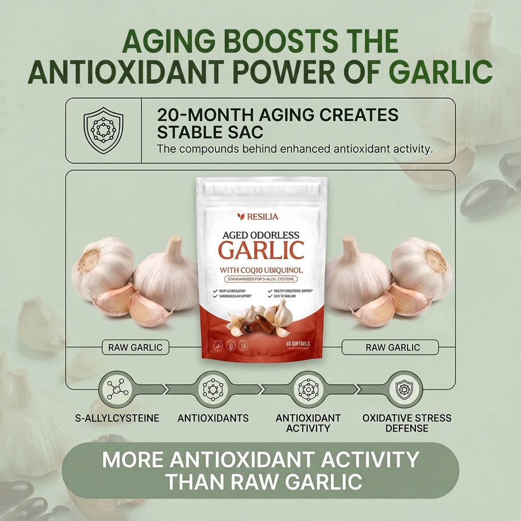 Aging boosts the antioxidant power of garlic