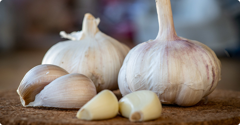 Aged Garlic Extract